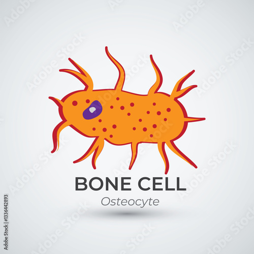 Bone Cell Osteocyte Logo Vector Illustration