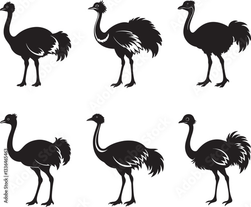 set of ostrich emu bird silhouette, black and white silhouette, vector and illustration