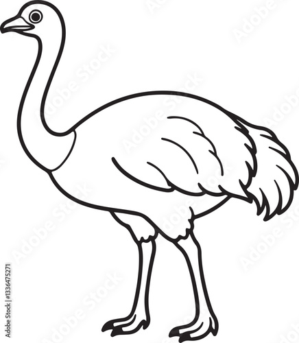 ostrich emu bird line art, black outline, vector and illustration, coloring book page line art drawing