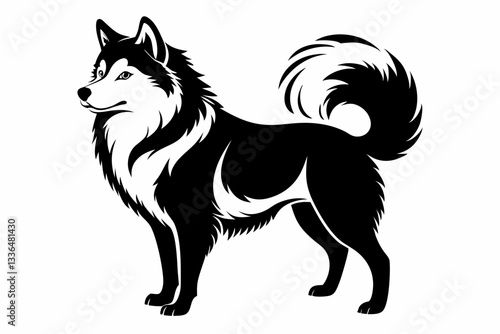 american eskimo dog line art silhouette vector illustration