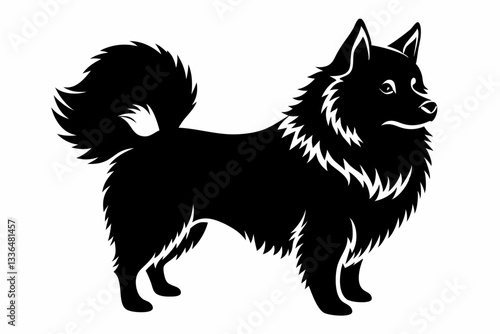 american eskimo dog line art silhouette vector illustration