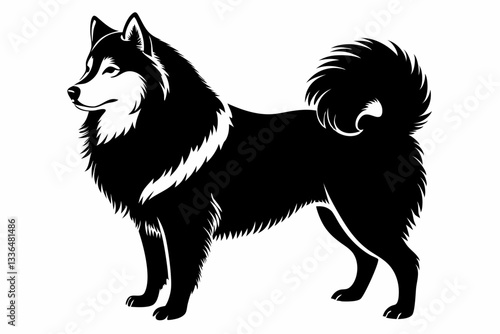 american eskimo dog line art silhouette vector illustration