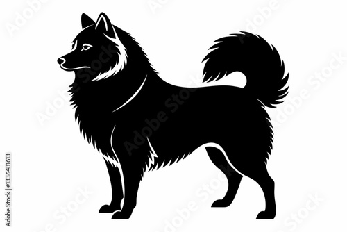 american eskimo dog line art silhouette vector illustration