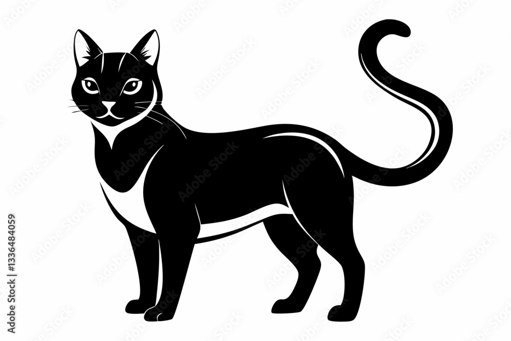 cat line art silhouette vector illustration cat line art silhouette vector illustration
