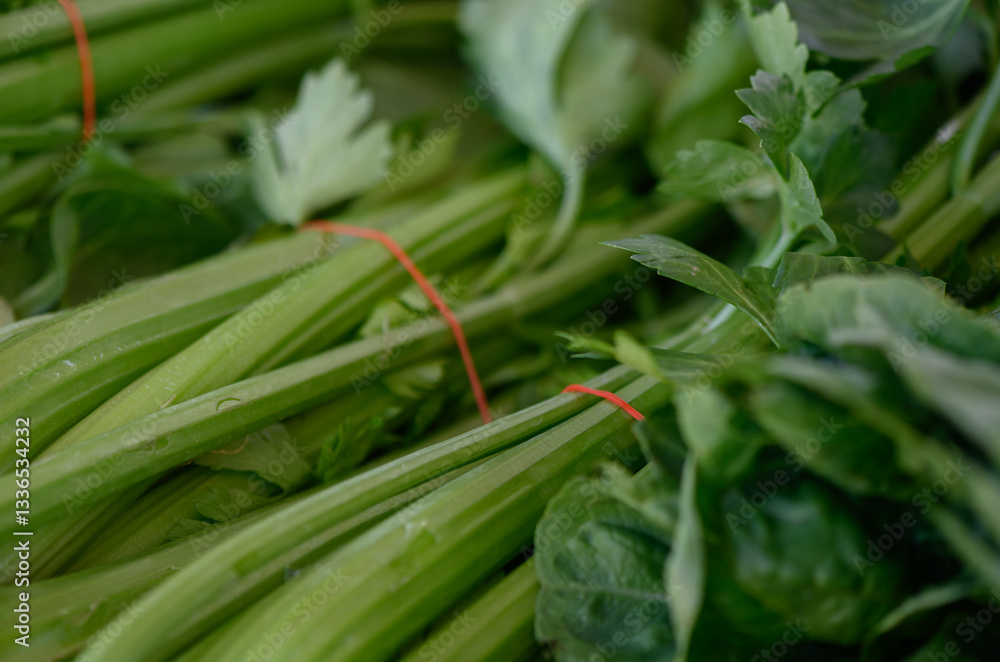 Obraz premium Freshly harvested green celery and herbs ready for cooking or garnishing in a vibrant kitchen setting