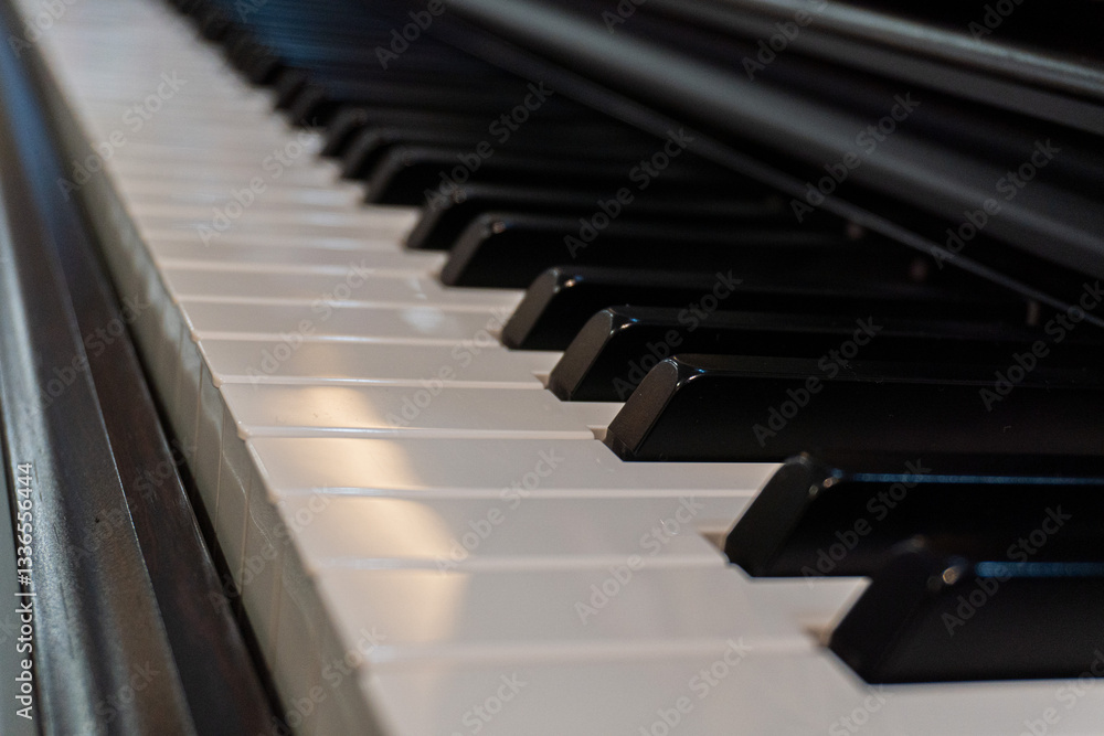 A view of the piano keys from a low angle showing the curve of the keyboard. A view of the piano keys from a low angle showing the curve of the keyboard.