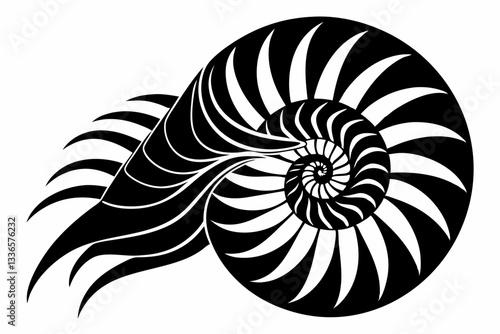 nautilus line art silhouette vector illustration