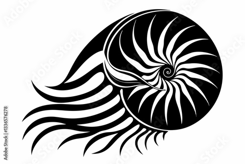 nautilus line art silhouette vector illustration