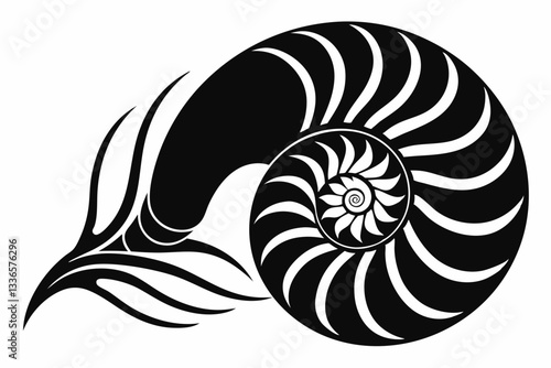 nautilus line art silhouette vector illustration