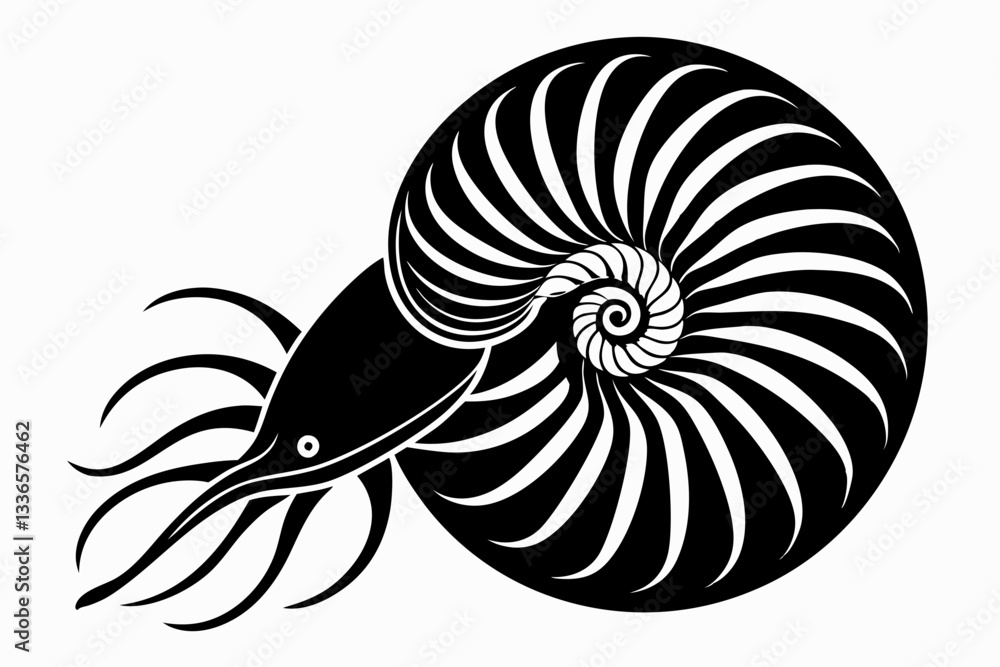 nautilus line art silhouette vector illustration nautilus line art silhouette vector illustration
