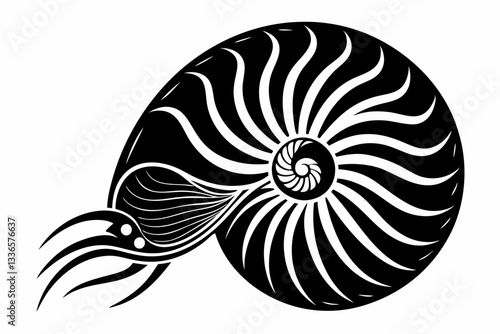 nautilus line art silhouette vector illustration