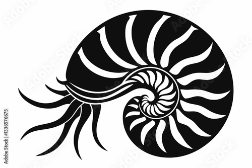 nautilus line art silhouette vector illustration