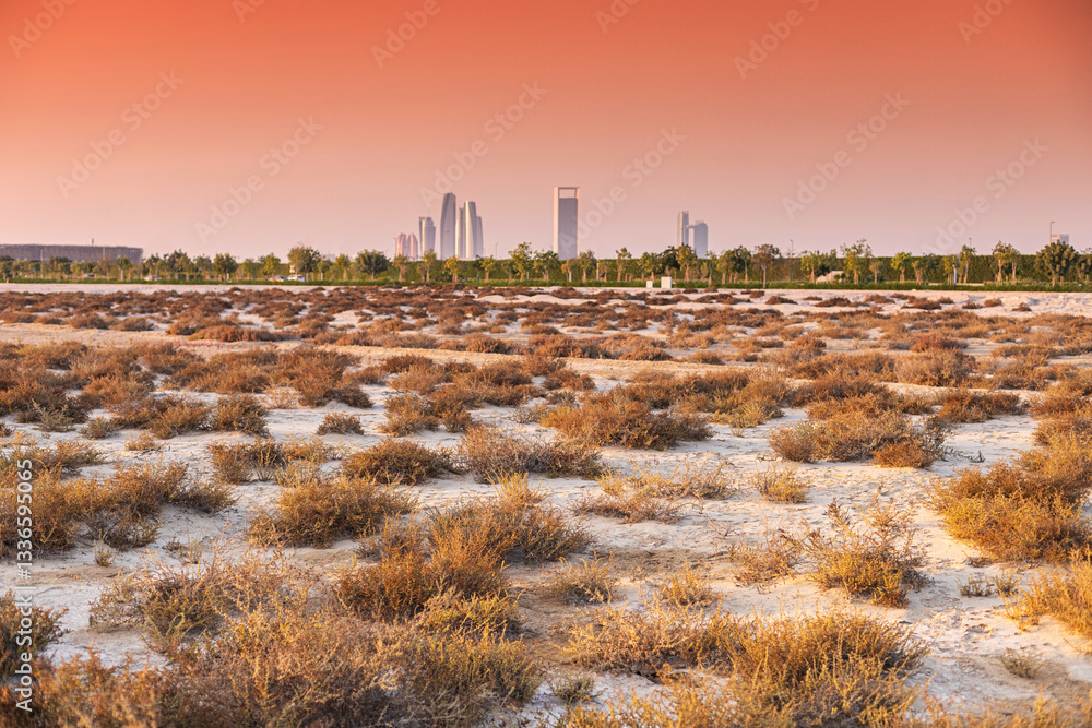 Scenic view of dry bushes and plants growing in a desert area with the Abu Dhabi skyline in the background during a vibrant sunset