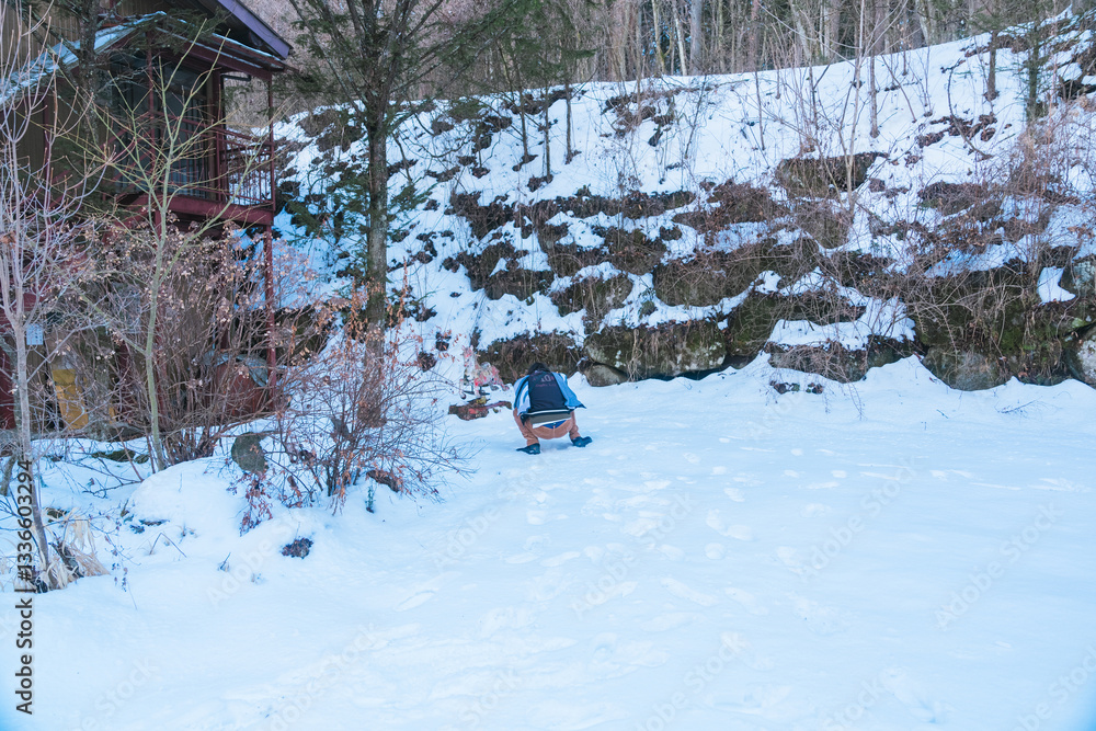 Fototapeta premium 雪が残る忍野八海