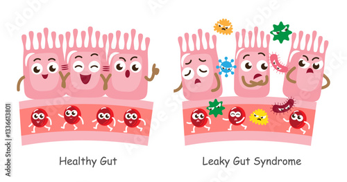 Leaky gut syndrome and healthy gut . Cute medical cartoon character . Vector .