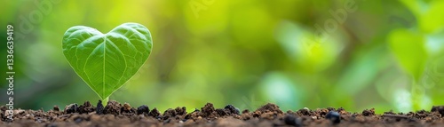 charitable giving model with tax advantages and donation optimization represents purposeful financial legacy.