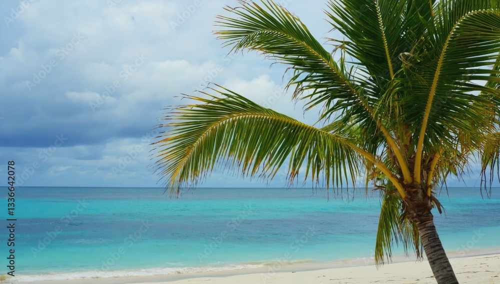 Palm Tree Paradise: A serene view of a palm tree with lush green fronds framing a picturesque tropical beach, featuring crystal-clear turquoise waters and a partially cloudy sky. Palm Tree Paradise: A serene view of a palm tree with lush green fronds framing a picturesque tropical beach, featuring crystal-clear turquoise waters and a partially cloudy sky.