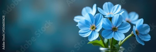 Delicate blue forget me not flowers in a vase, gentle, blue