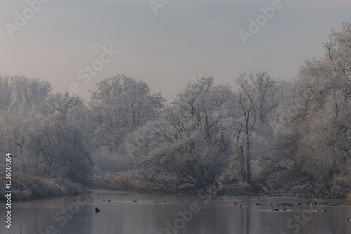  Isar Fluss im Bayerischen Wald in Deutschland