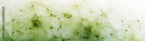 Abstract Green Network Design with Nodes in Connection and Flow