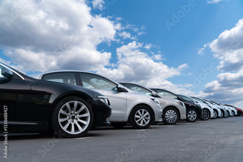 Wallpaper Mural A lot of cars in a rows. Used car sales Torontodigital.ca