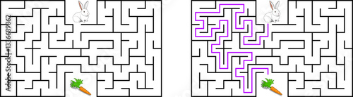Help a white rabbit pass through rectangular maze to find a carrot. Feed the hungry bunny labyrinth. Easy difficulty level riddle for kids and their parents. Solution included