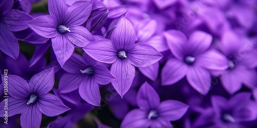 Wallpaper Mural A cluster of blooming purple flowers radiating beauty and life. Torontodigital.ca
