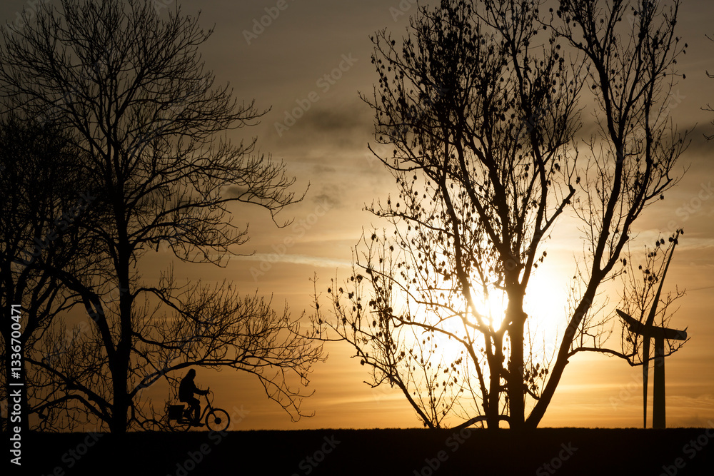 Naklejka premium Silhouetted cyclist rides along a pathway beside trees at sunset, creating a serene evening atmosphere