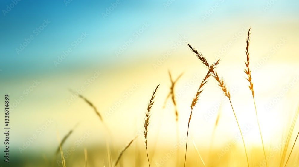 Fototapeta premium Muted earthy tones with a subtle soft blur, natural and calming