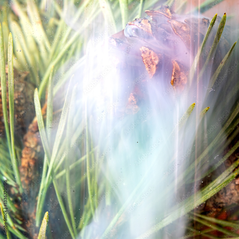 abstract photo with needles and cones in water, colorful water, abstraction, interesting texture