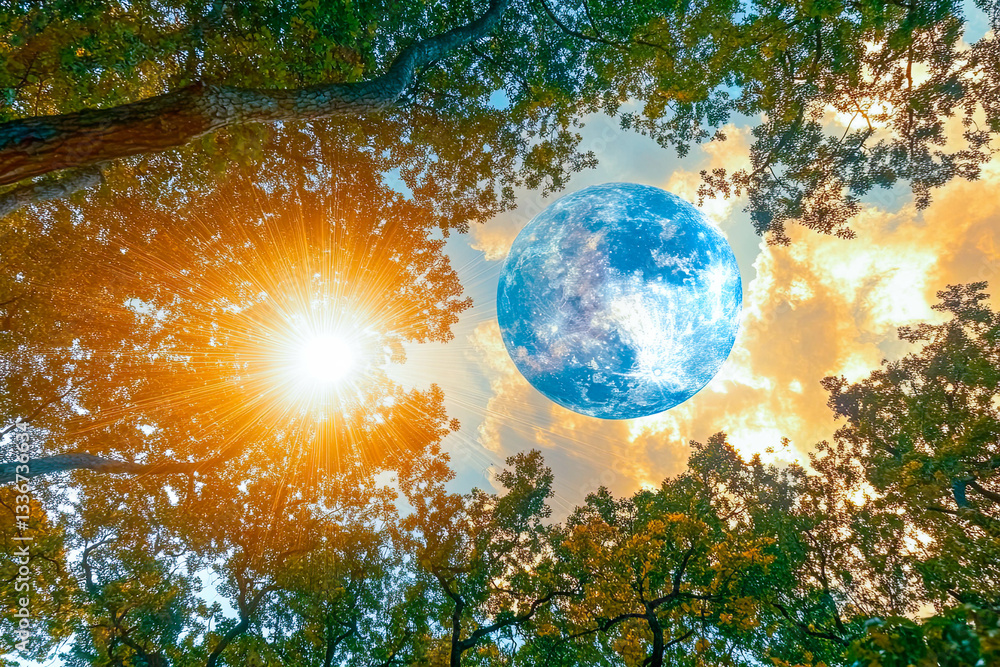 Naklejka premium Captivating celestial alignment above a serene forest during a radiant sunset