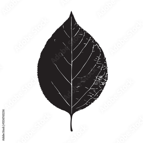 graphic image of a round leaf from a tree, black and white, vector,

