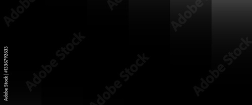 Smooth vector transition from black to white. Abstract broken stripes. For wall design  interior  polygraphy  clothing  web. EPS10