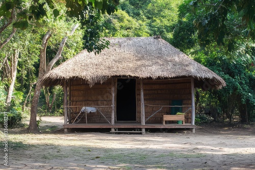 hut in the jungle