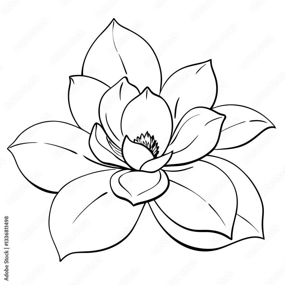 Fototapeta premium a simple outline of a blooming flower vector illustration