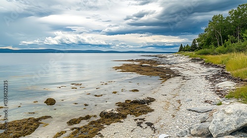A peaceful beach with a rocky shoreline, tide pools filled with marine life, and the sound of crashing waves