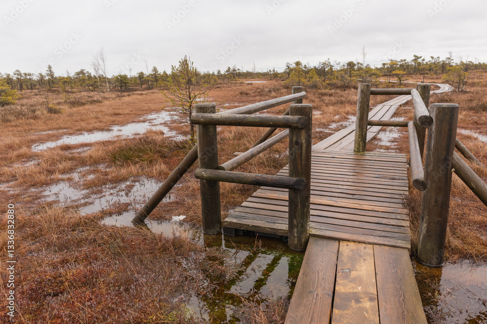 A wooden boardwalk with railings that winds through a marshy area with small areas covered in water. A wooden boardwalk with railings that winds through a marshy area with small areas covered in water.