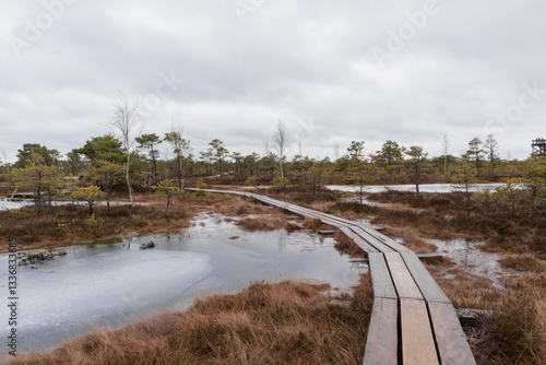 Foto A wooden boardwalk that winds through a swampy area with small areas of water and conifers