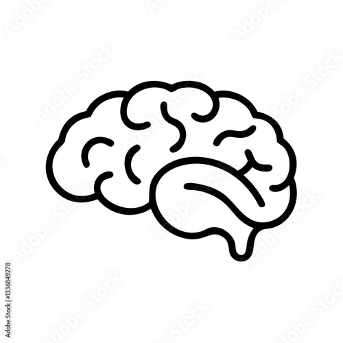 brain