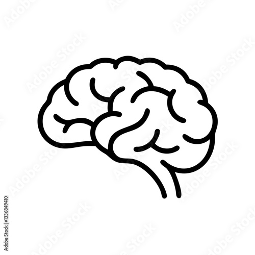 brain