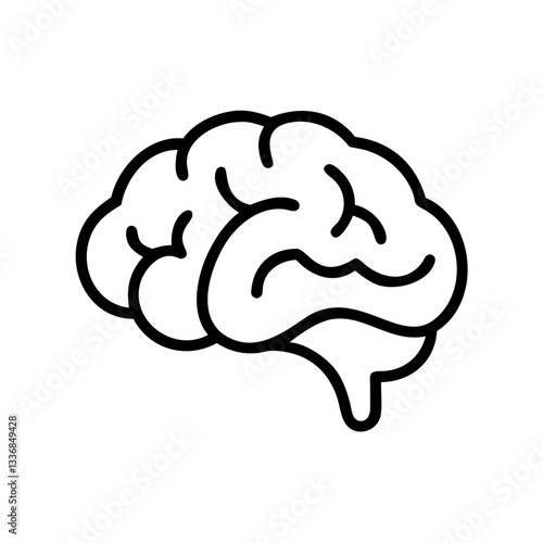 brain