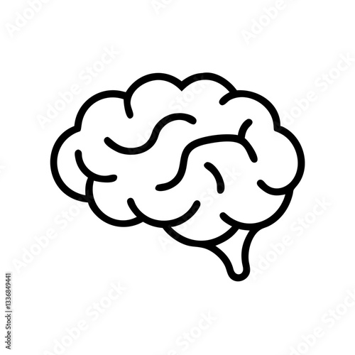 brain