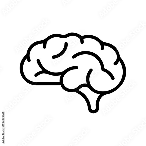 brain