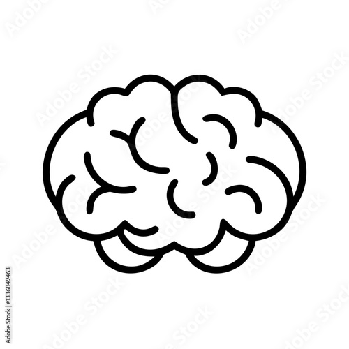 brain