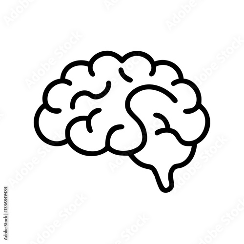 brain