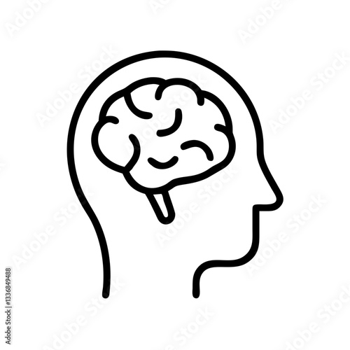 brain