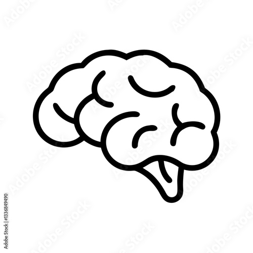 brain
