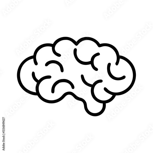 brain
