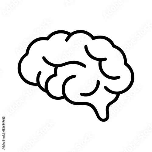 brain