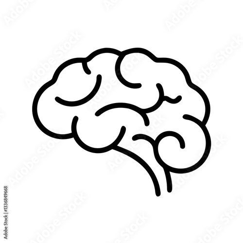 brain